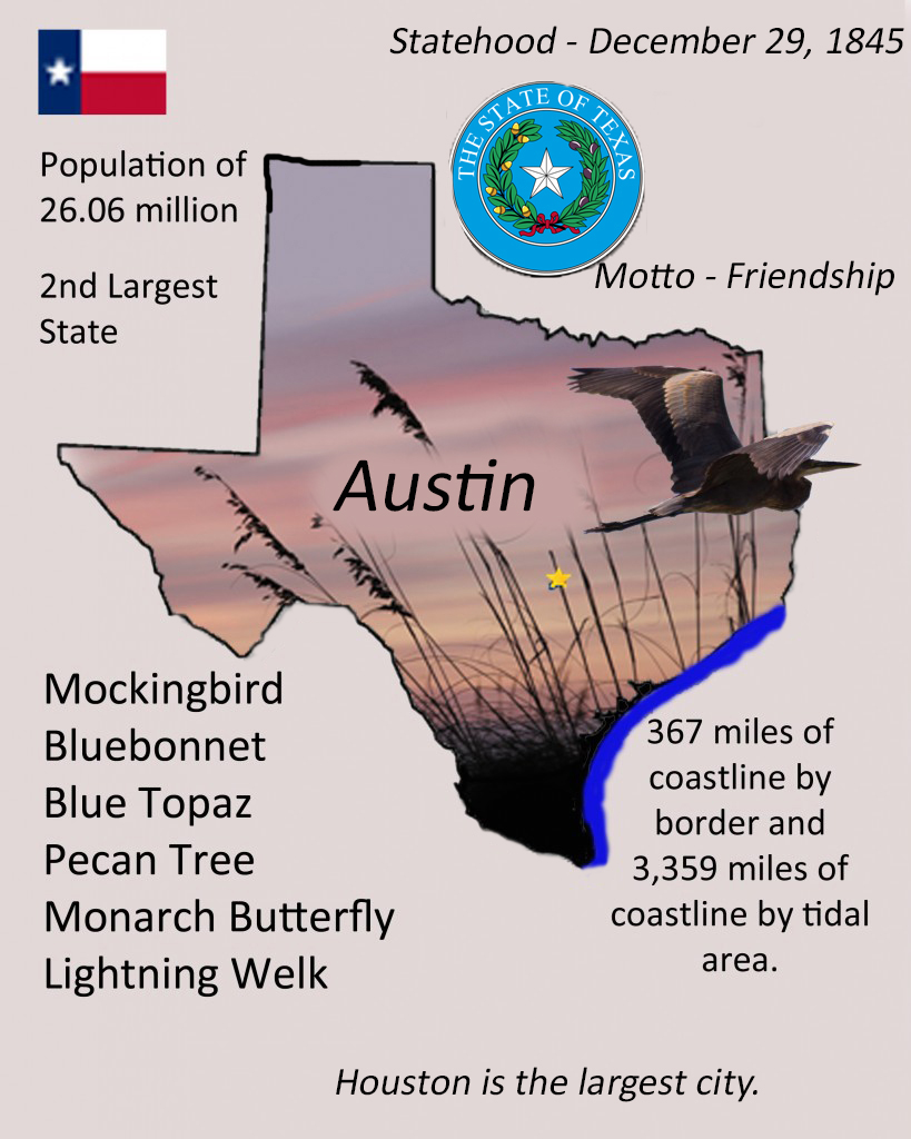 Texas info graphic