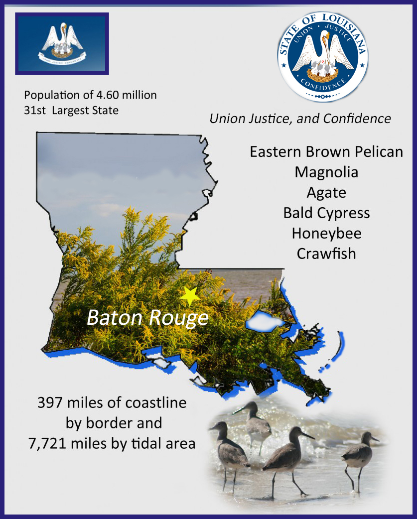 Louisiana Info Graphic